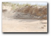 [Click to enlarge]